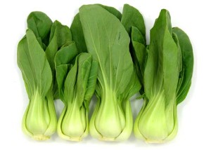 Bok Choi