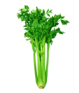 Chinese Celery