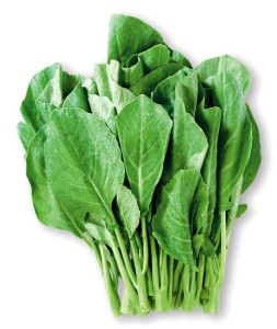 Chinese Kale