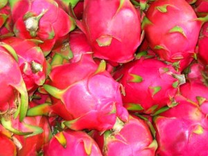 Dragon Fruit1