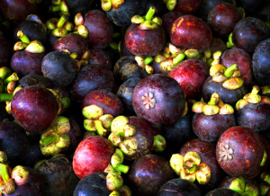 Mangosteen a