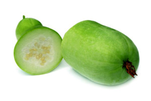 Winter Melon (small)